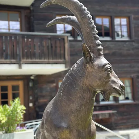 Tiny House Ibex Appartement-fewo Appartement-fewo By Interhome Saas-Fee