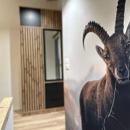 Tiny House Ibex Appartement-fewo Appartement-fewo By Interhome * Saas-Fee